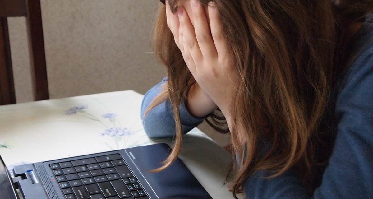 Más del 30 % de alumnos con alta capacidad sufre ciberacoso