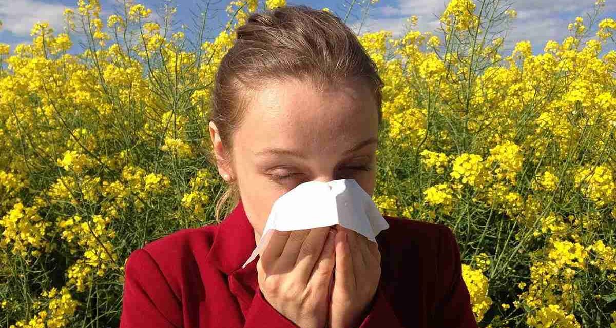 10 plantas frecuentes en España que dan alergia en primavera