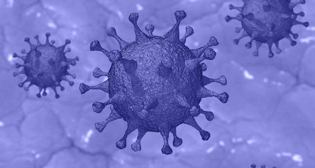 La OMS confirma que el coronavirus no viaja libremente por el aire, sino en gotas