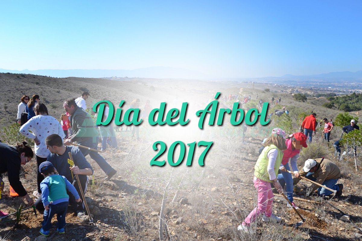 Día del Árbol 2017