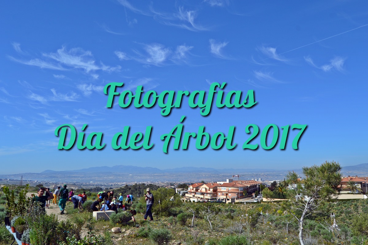 Fotografías Día del Árbol 2017