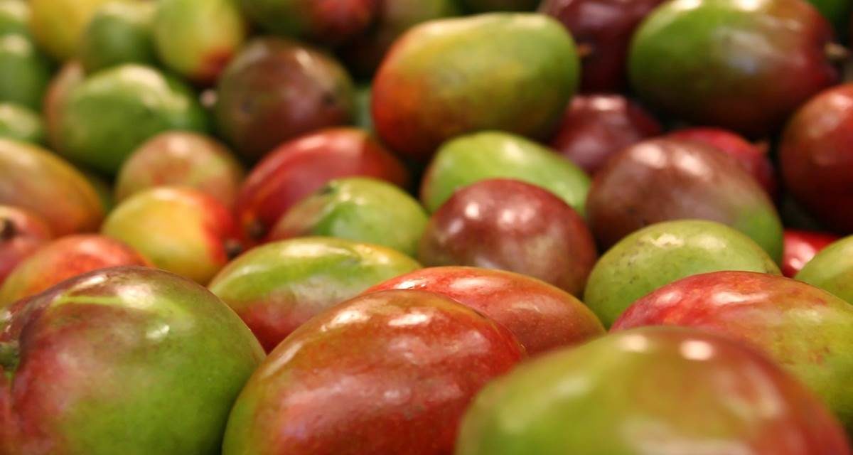 Los grandes beneficios de comer mango para el corazón y el estómago