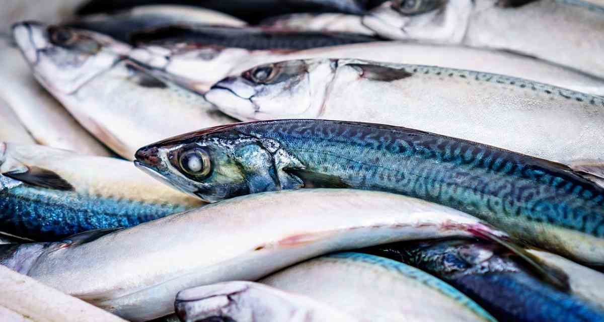 Siete intoxicaciones que puedes sufrir al comer pescado y que no son anisakis