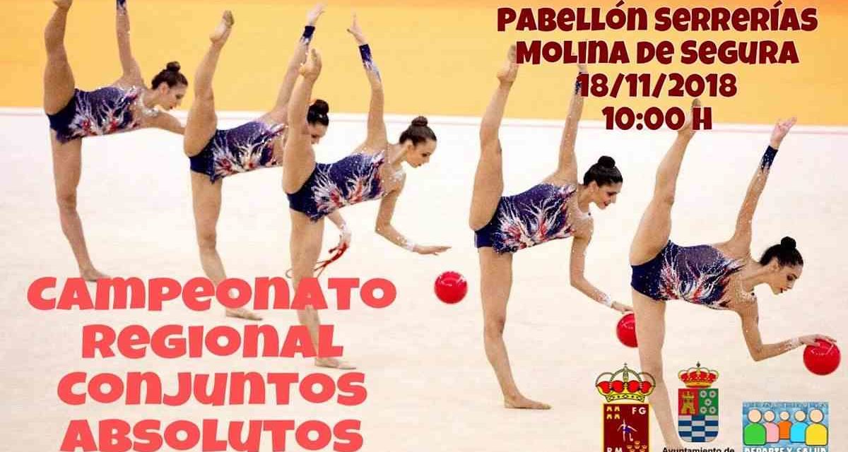 Campeonato Regional de Conjuntos Absolutos de Gimnasia Rítmica 2018